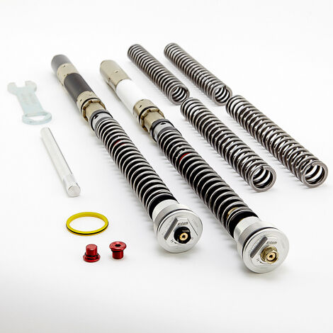 FRONT FORK CARTRIDGES DDS KAWASAKI ZX-10RR 2016+ SHOWA BFF