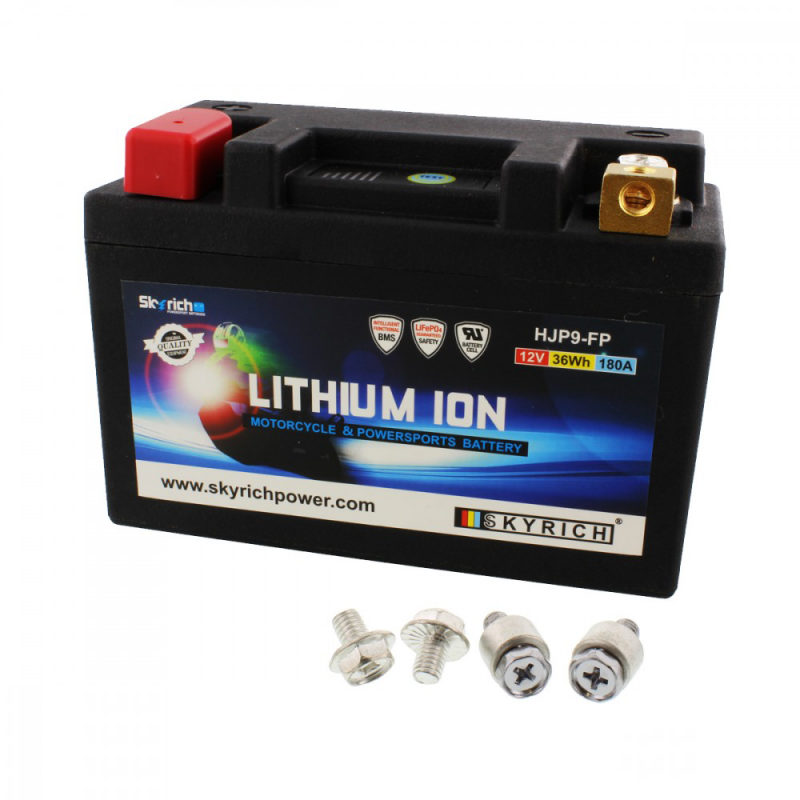 SKYRICH LTM9 LITHIUM ION BATTERY WITH VOLTAGE DISPLAY AND OVERCHARGE PROTECTION